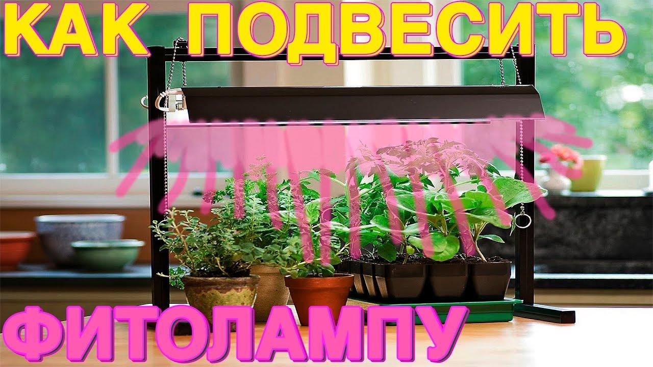 Как подвесить фитолампу (kak-podvesit-fitolampu) Досуг, хобби