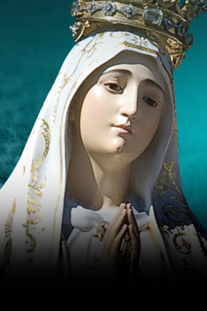 Holy mass on the 106th anniversary of the fifth apparition of our Lady of Fatima (holy-mass-on-the-106th-anniversary-of-the-fifth-apparition-of-our-lady-of-fatima) Другое