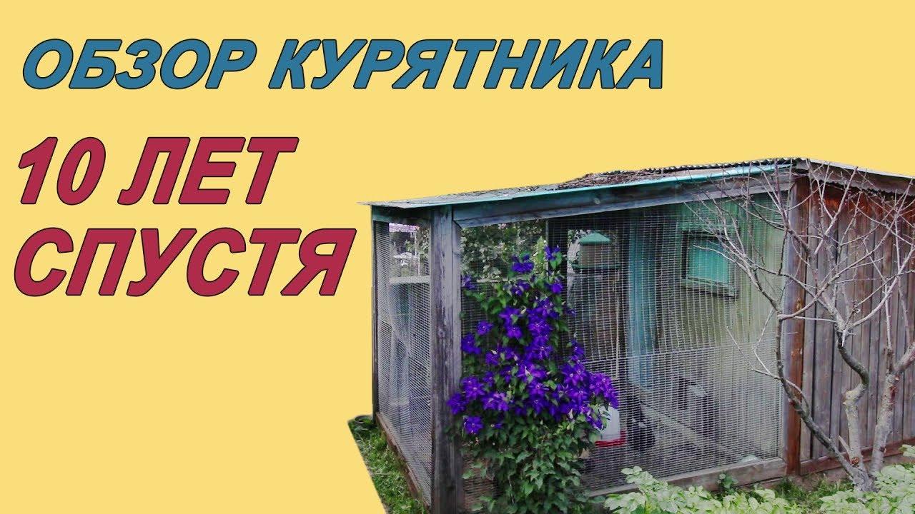 Как сделать курятник дёшево и надолго (kak-sdelat-kurjatnik-deshevo-i-nadolgo) Познавательное