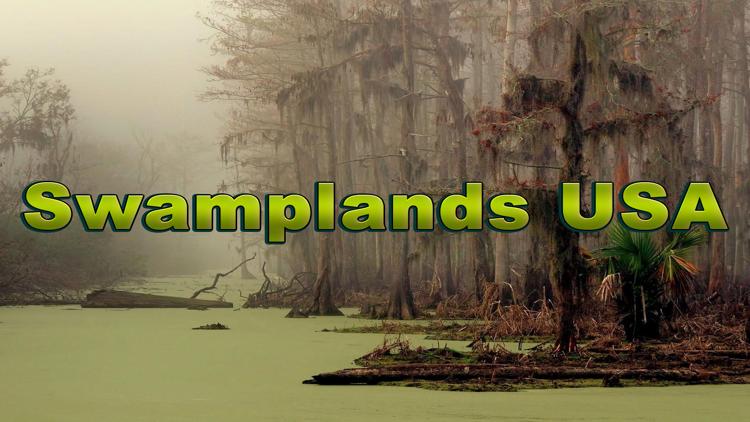 Постер Swamplands USA