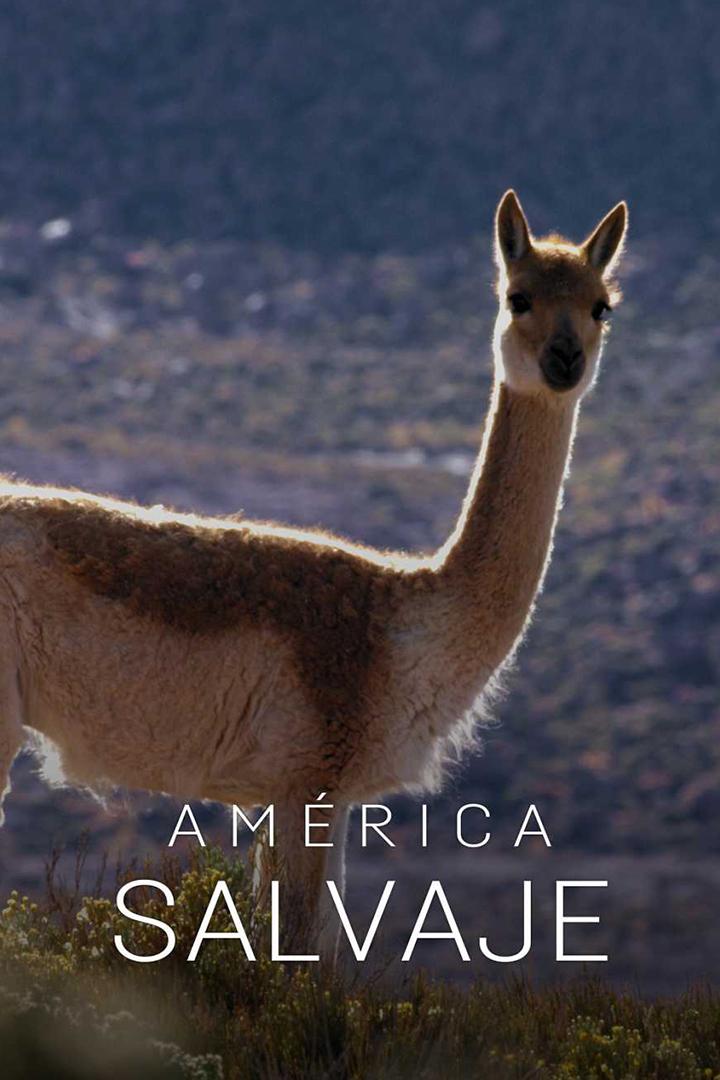 America salvaje. 150 años de parques nacionales en (america-salvaje-150-aos-de-parques-nacionales-en) Документальный фильм