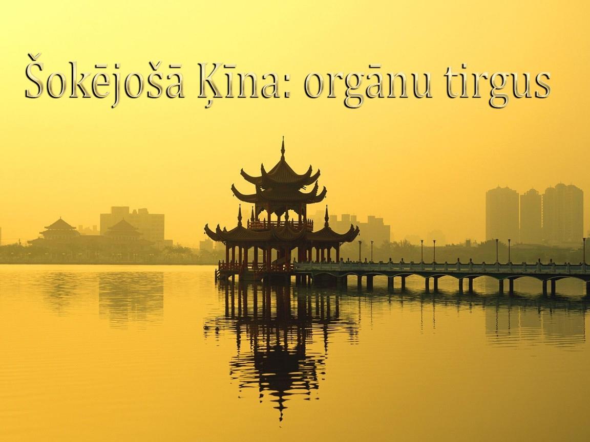 Šokējošā Ķīna: orgānu tirgus (okjo-na-orgnu-tirgus) Документальный фильм