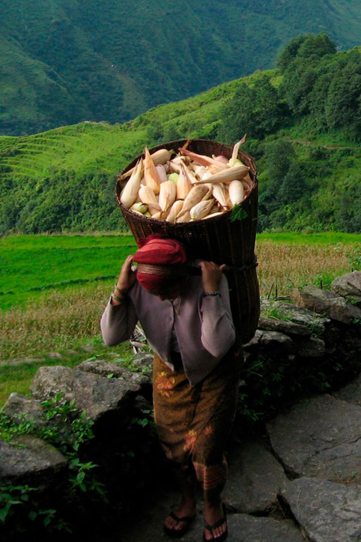 Nepal – les soldats du toit du monde (nepal-les-soldats-du-toit-du-monde) Документальный фильм