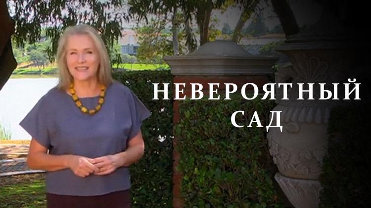 Постер Невероятный сад