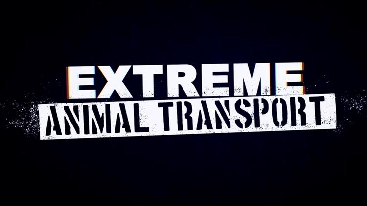 Постер Extreme Animal Transport