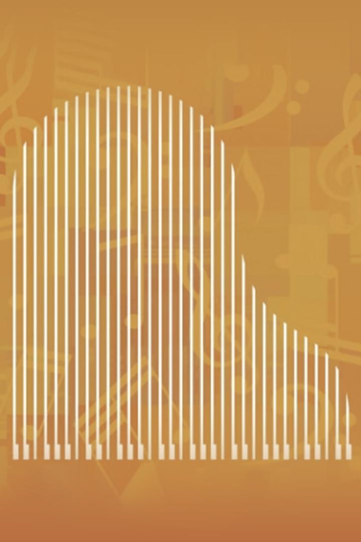 XIII Qəbələ Beynəlxalq Musiqi Festivalı. Litva Kamera Orkestri (xiii-qbl-beynlxalq-musiqi-festival-litva-kamera-orkestri) Музыка