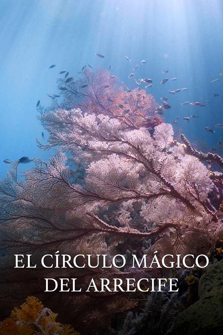 El círculo mágico del arrecife (el-crculo-mgico-del-arrecife) Познавательное