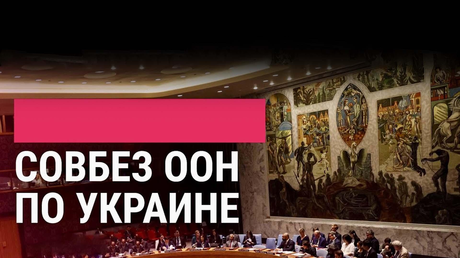 Совбез ООН по Украине (sovbez-oon-po-ukraine) Другое