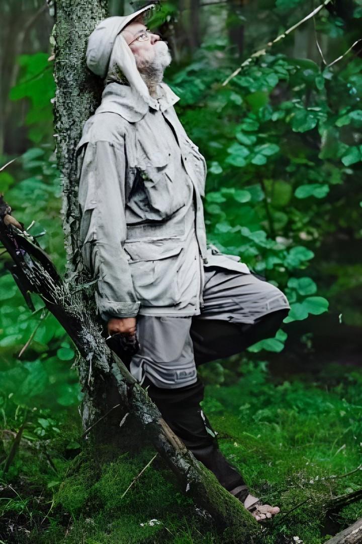Pļavas arfa (pavas-arfa) Досуг, хобби