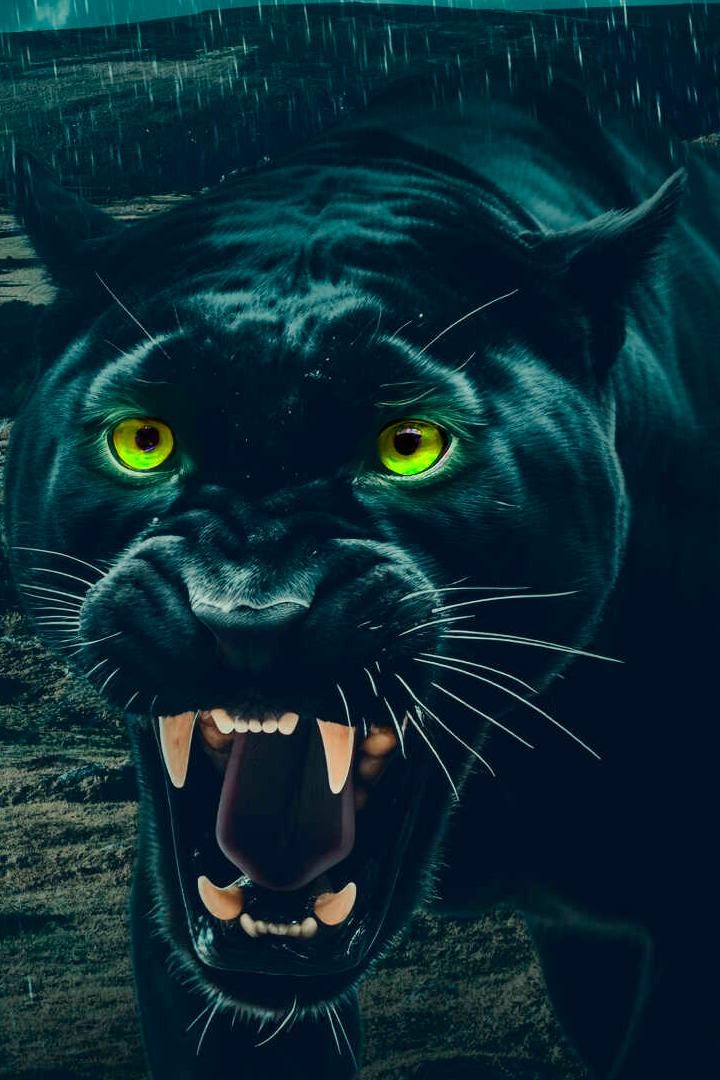 Big Cat Britain Declassified (big-cat-britain-declassified) Документальный фильм