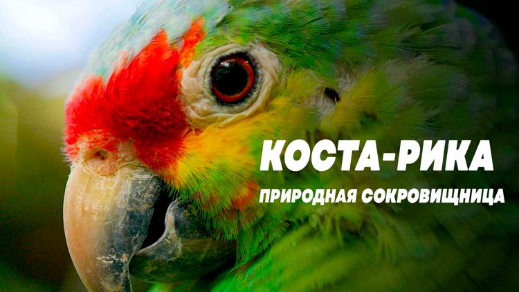 Постер Коста-Рика - природная сокровищница