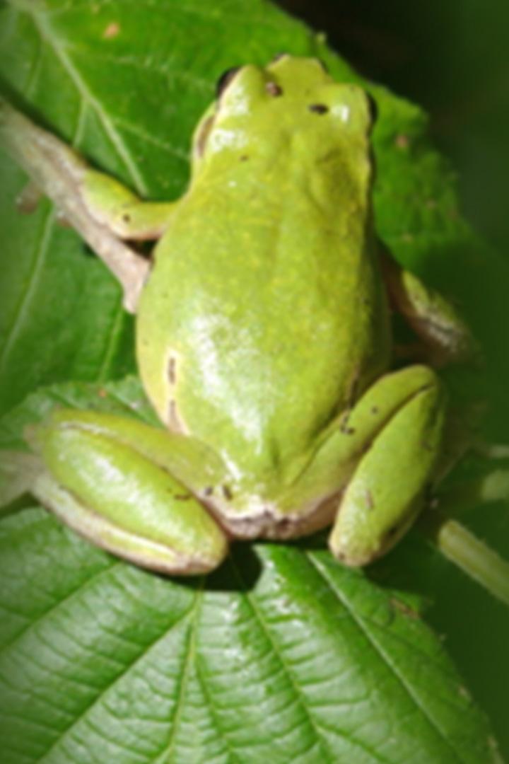 Normas de etiqueta de la naturaleza (normas-de-etiqueta-de-la-naturaleza) Познавательное