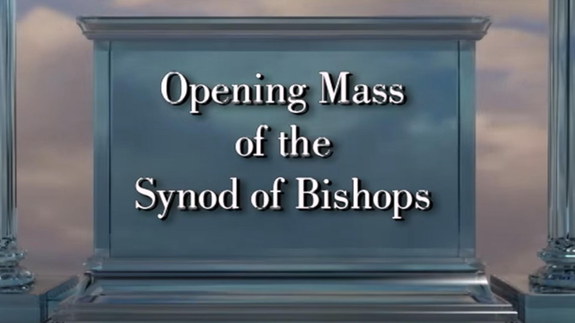 Opening of the xvi ordinary general assembly of the synod of bishops (opening-of-the-xvi-ordinary-general-assembly-of-the-synod-of-bishops) Познавательное