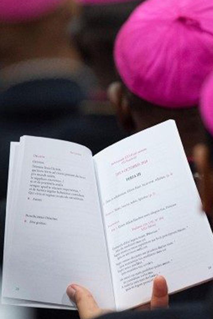 Presentation of the instrumentum laboris (presentation-of-the-instrumentum-laboris) Познавательное