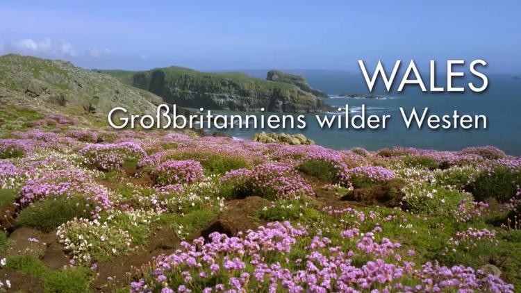 Постер Wales - Großbritanniens wilder Westen