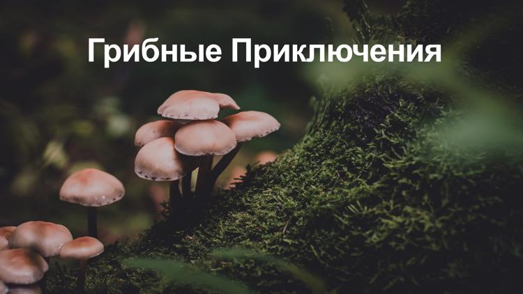 Постер Грибные Приключения