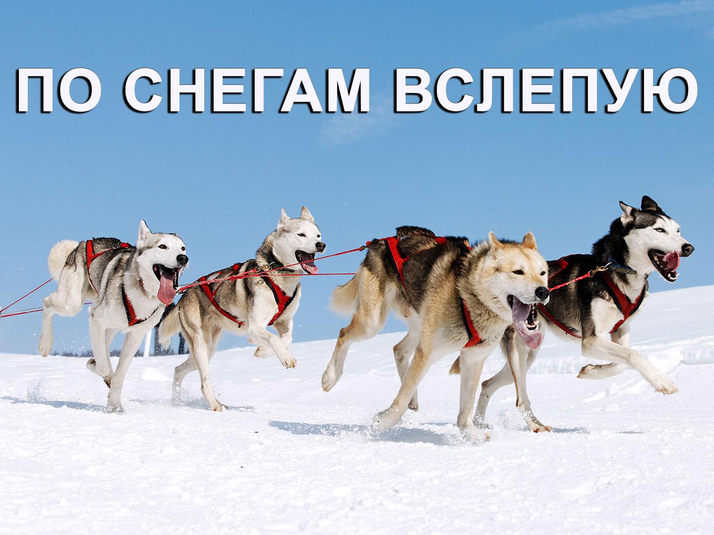 По снегам вслепую (po-snegam-vslepuju) Документальный фильм
