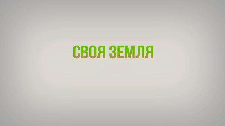 Постер Своя земля