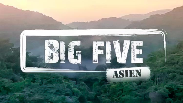 Постер Big Five Asien