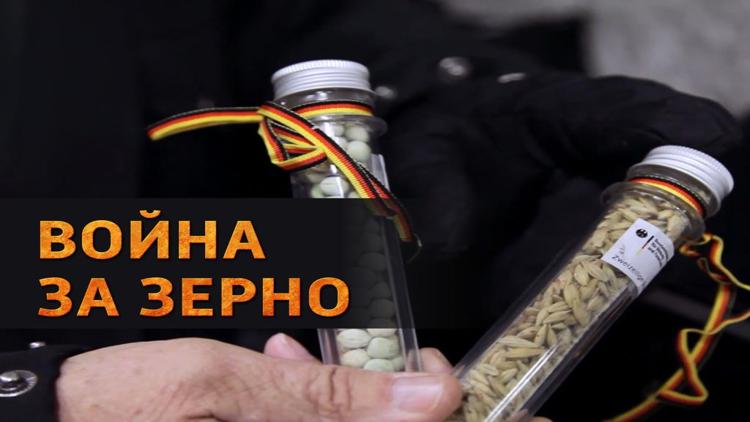 Постер Война за зерно