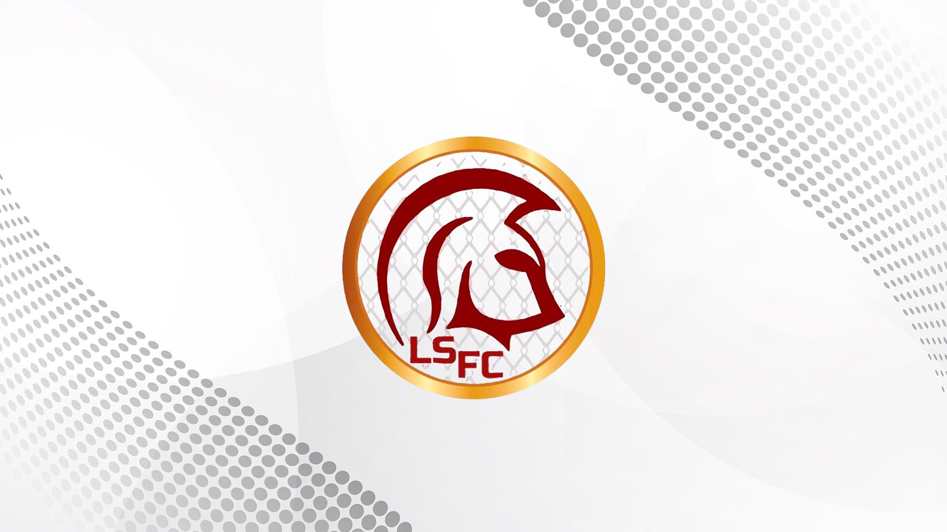 Смешанные единоборства. Лига LSFC XII (smeshannye-edinoborstva-liga-lsfc-xii) Спорт
