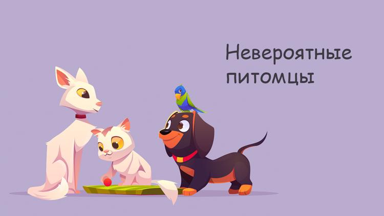 Постер Невероятные питомцы