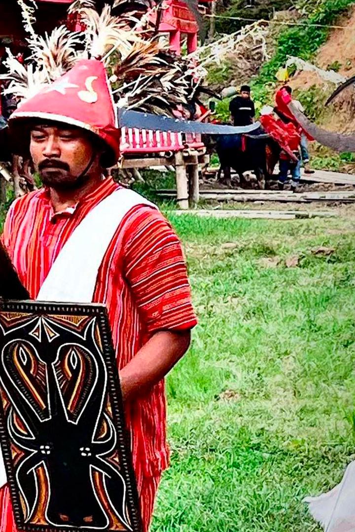 L'île des Célèbes : La cérémonie funéraire du peuple Toraja (lle-des-clbes-la-crmonie-funraire-du-peuple-toraja) Документальный фильм