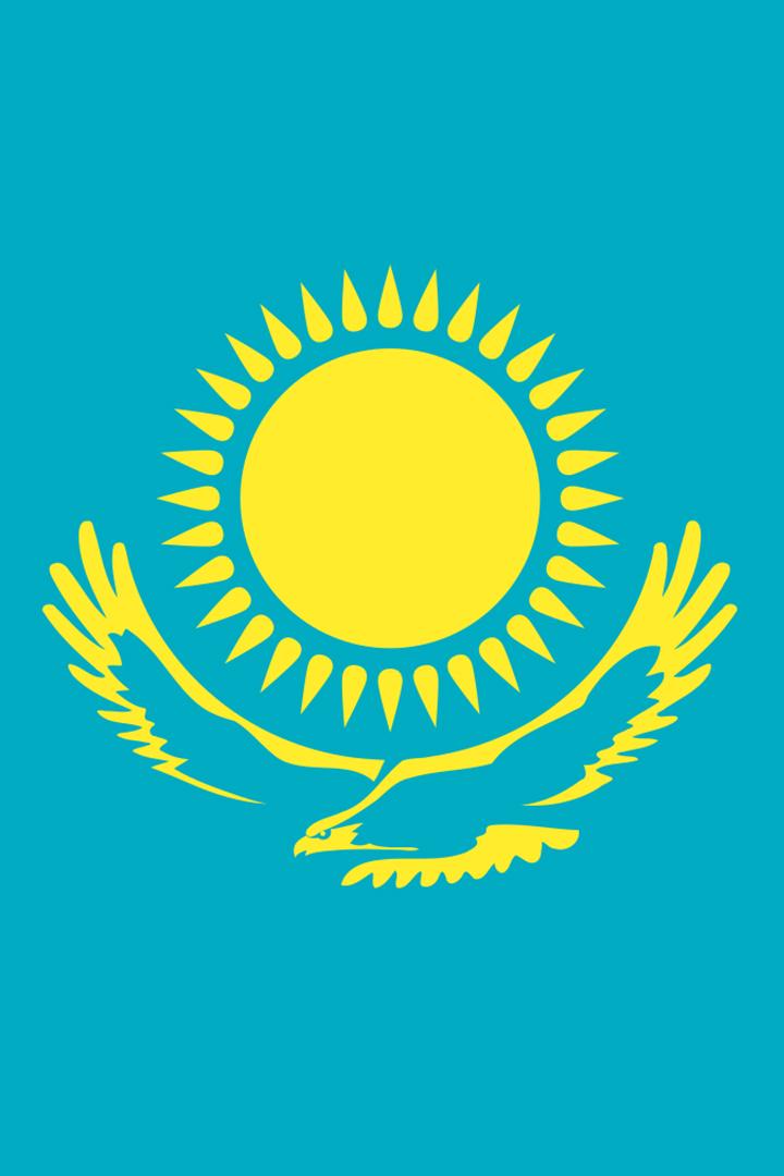 Спецвыпуск с участием Главы государства (spetsvypusk-s-uchastiem-glavy-gosudarstva) Другое