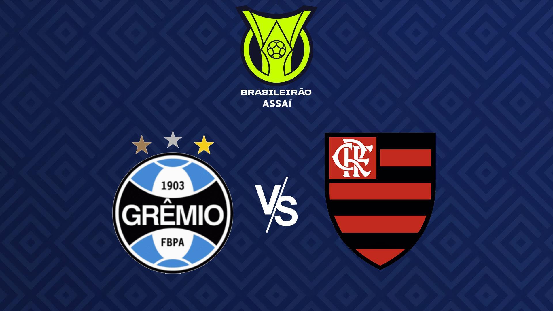 Чемпионат Бразилии. Гремио - Фламенго (chempionat-brazilii-gremio-flamengo) Спорт