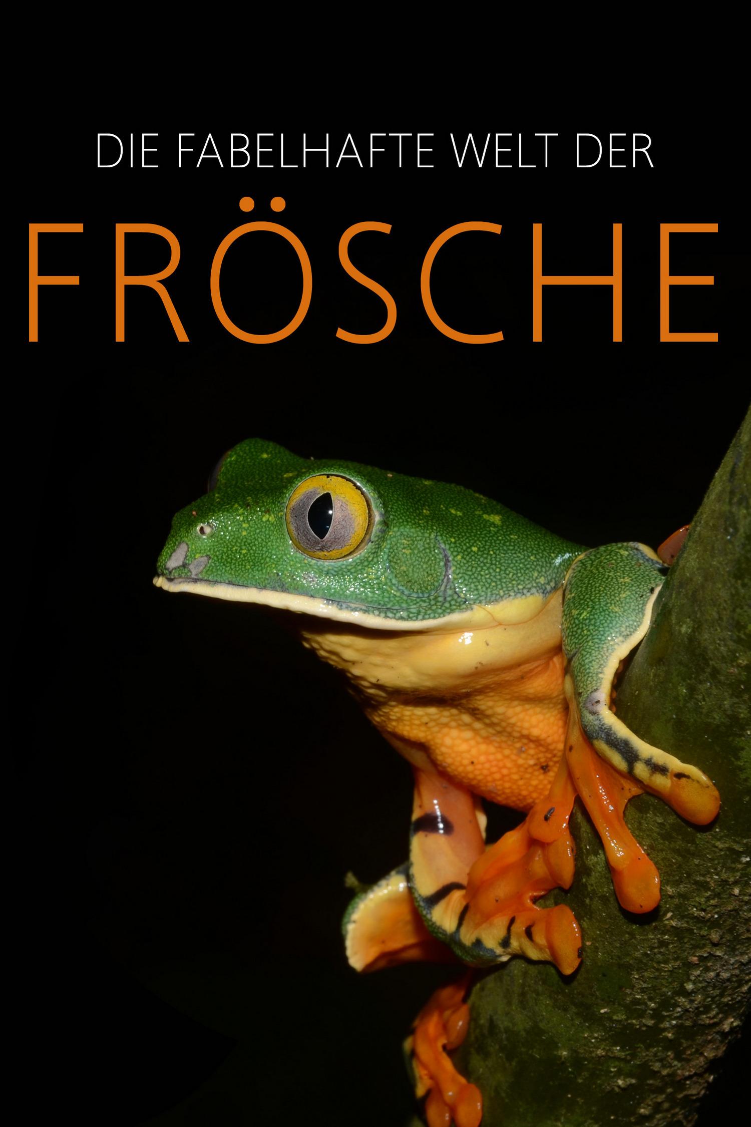 Die fabelhafte Welt der Frösche (die-fabelhafte-welt-der-frsche) Документальный фильм
