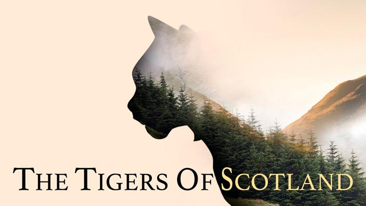 Постер The Tigers of Scotland