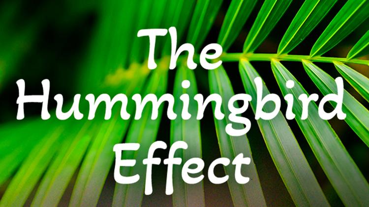 Постер The Hummingbird Effect