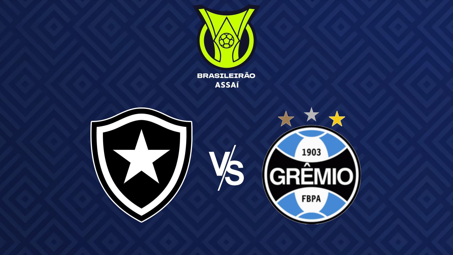 Чемпионат Бразилии. «Ботафого» - «Гремио» (chempionat-brazilii-botafogo-gremio) Спорт