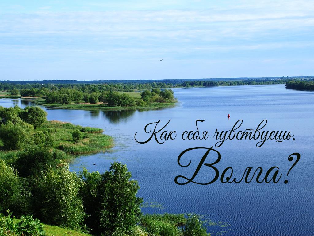 Как себя чувствуешь, Волга? (kak-sebja-chuvstvuesh-volga) Документальный фильм
