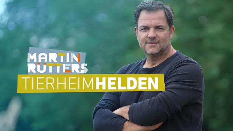 Постер Martin Rütters Tierheimhelden