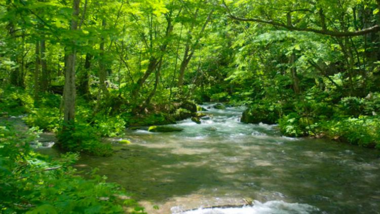 Постер National Parks of Japan