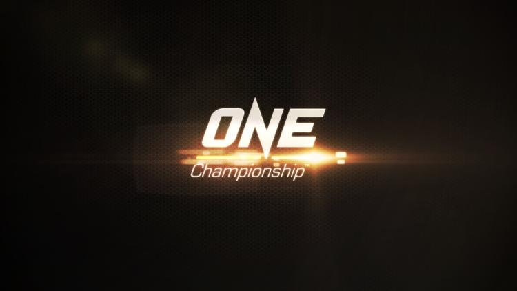 Постер One FC. Дневник