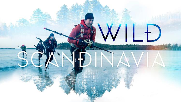 Постер Wild Scandinavia