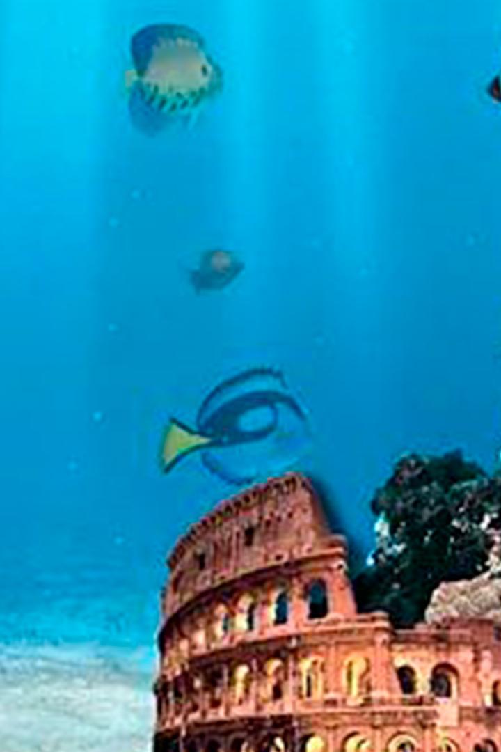 29° European Dive Show (29-european-dive-show) Досуг, хобби