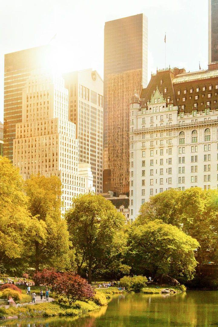 The World's Most Expensive Hotels (the-worlds-most-expensive-hotels) Досуг, хобби