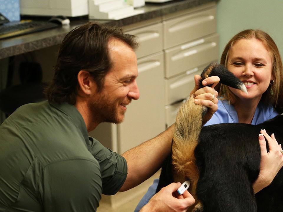 Зубастая работа (zubastaja-rabota) Документальный сериал