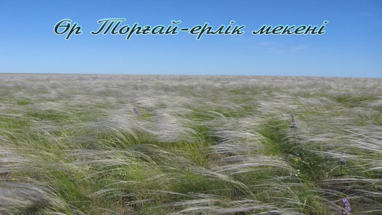 Постер Өр Торғай-ерлік мекені