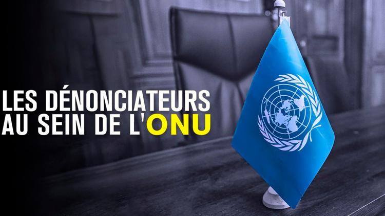 Постер Les dénonciateurs au sein de l'ONU