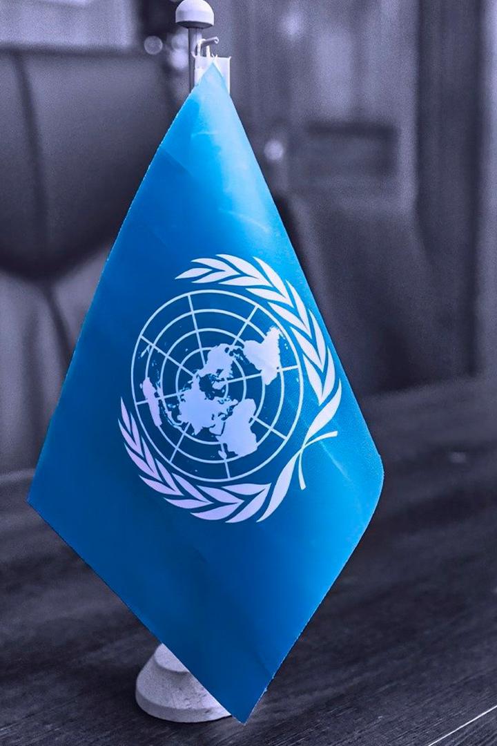 Les dénonciateurs au sein de l'ONU (les-dnonciateurs-au-sein-de-lonu) Документальный фильм