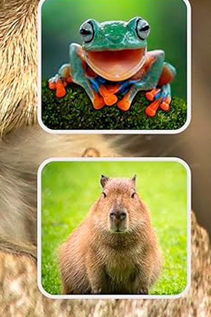Just Animals (just-animals) Документальный сериал