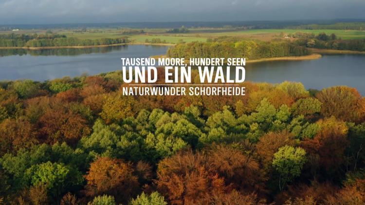 Постер Tausend Moore, hundert Seen und ein Wald - Naturwunder Schorfheide