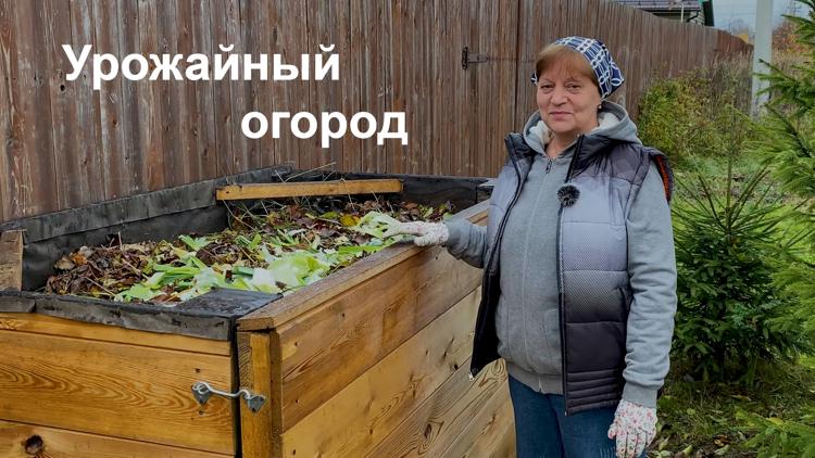 Постер Урожайный огород