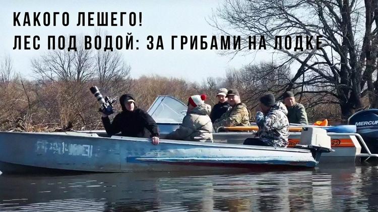 Постер Какого лешего! Лес под водой: за грибами на лодке