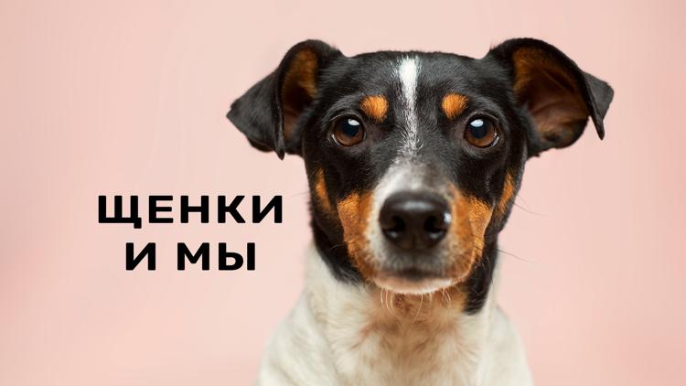 Постер Щенки и мы