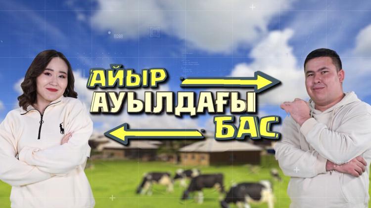 Постер Ауылдағы айырбас